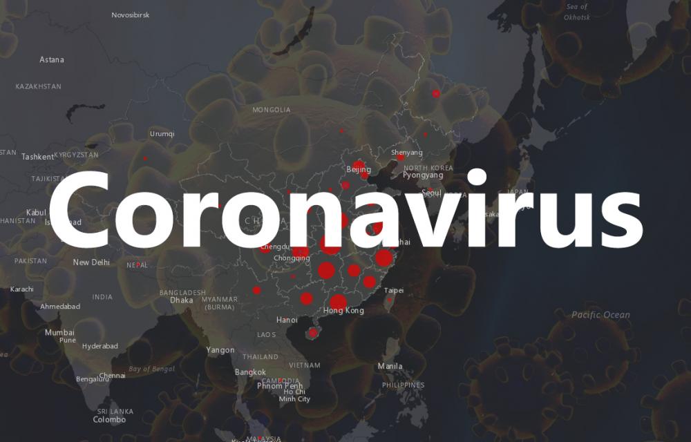 Coronavirus internet larisa